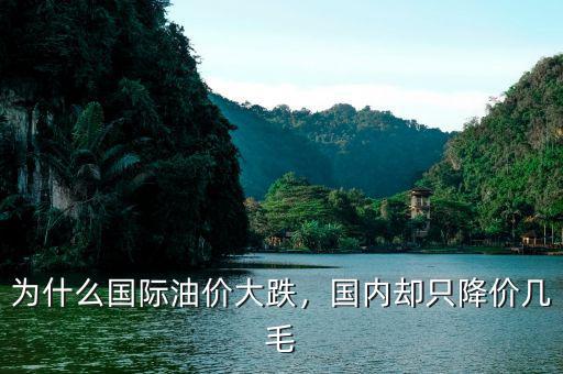 為什么國際油價(jià)大跌，國內(nèi)卻只降價(jià)幾毛
