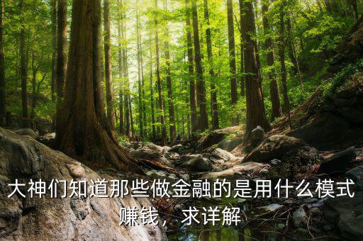 大神們知道那些做金融的是用什么模式賺錢，求詳解