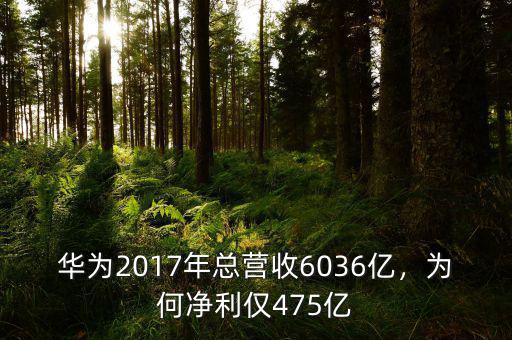 華為2017年總營收6036億，為何凈利僅475億