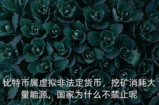 比特幣屬虛擬非法定貨幣，挖礦消耗大量能源，國(guó)家為什么不禁止呢