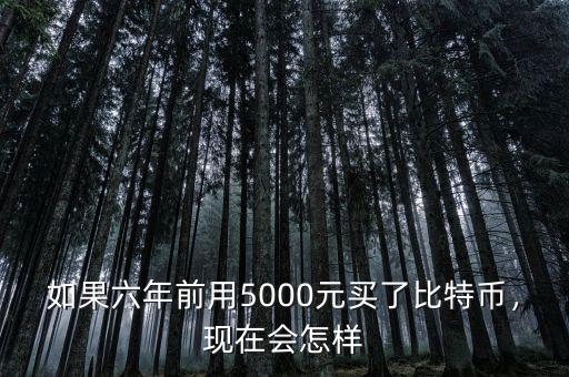 如果六年前用5000元買了比特幣，現(xiàn)在會怎樣