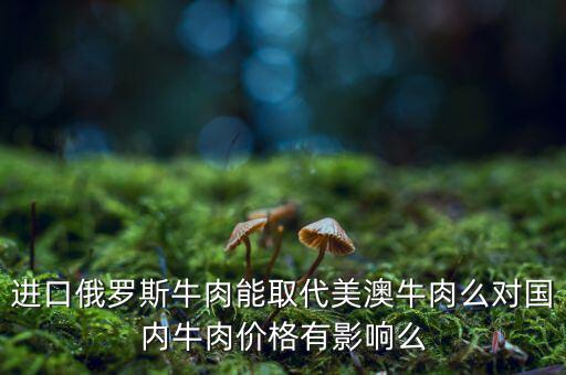 進口俄羅斯牛肉能取代美澳牛肉么對國內牛肉價格有影響么