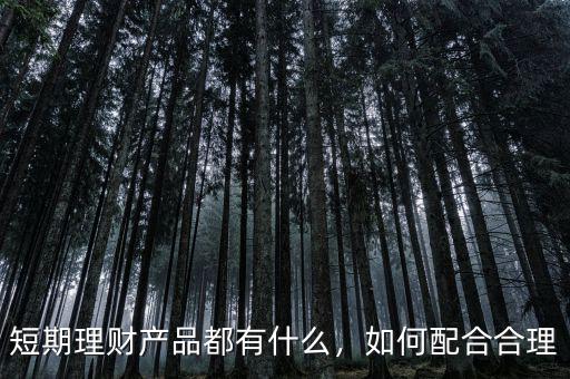 短期理財產(chǎn)品都有什么，如何配合合理