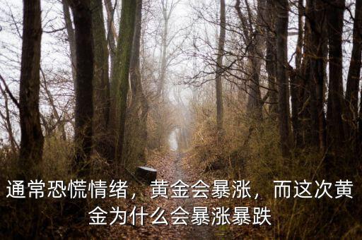 通?？只徘榫w，黃金會(huì)暴漲，而這次黃金為什么會(huì)暴漲暴跌