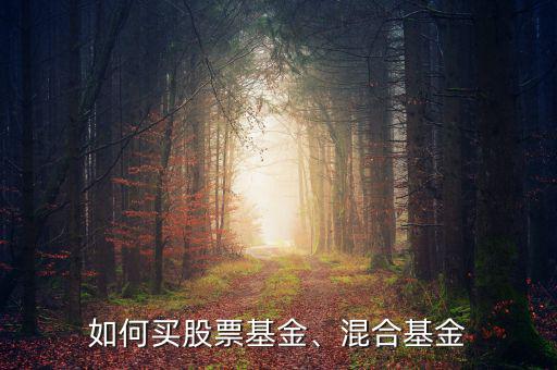 如何買股票基金、混合基金