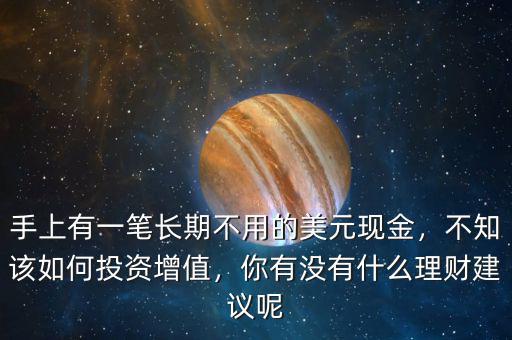 手上有一筆長(zhǎng)期不用的美元現(xiàn)金，不知該如何投資增值，你有沒(méi)有什么理財(cái)建議呢