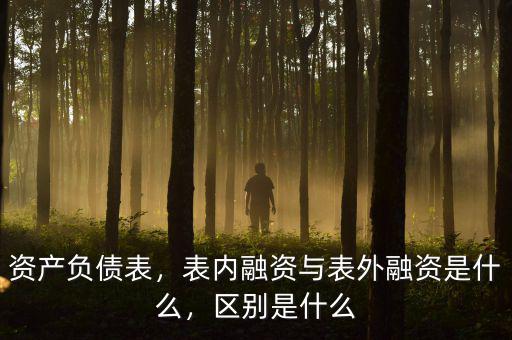 資產(chǎn)負(fù)債表，表內(nèi)融資與表外融資是什么，區(qū)別是什么