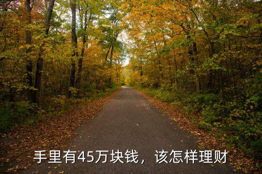 手里有45萬塊錢，該怎樣理財(cái)