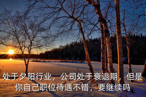 處于夕陽(yáng)行業(yè)，公司處于衰退期，但是你自己職位待遇不錯(cuò)，要繼續(xù)嗎