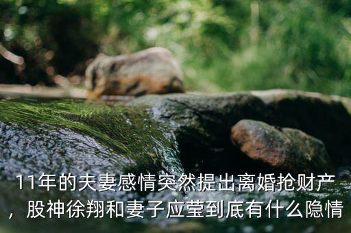 11年的夫妻感情突然提出離婚搶財產(chǎn)，股神徐翔和妻子應(yīng)瑩到底有什么隱情