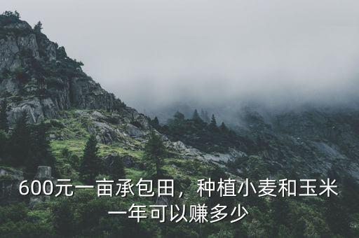 600元一畝承包田，種植小麥和玉米一年可以賺多少
