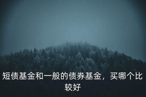 短債基金和一般的債券基金，買哪個(gè)比較好