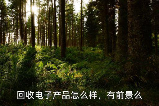 回收電子產(chǎn)品怎么樣，有前景么