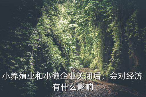 小養(yǎng)殖業(yè)和小微企業(yè)關(guān)閉后，會對經(jīng)濟有什么影響