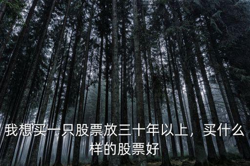 我想買一只股票放三十年以上，買什么樣的股票好