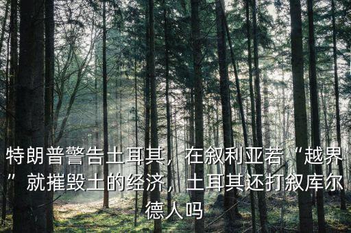 特朗普警告土耳其，在敘利亞若“越界”就摧毀土的經(jīng)濟，土耳其還打敘庫爾德人嗎