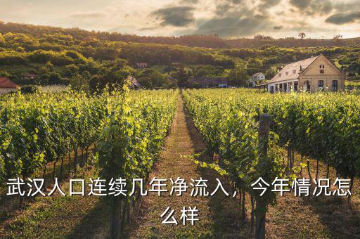 武漢人口連續(xù)幾年凈流入，今年情況怎么樣