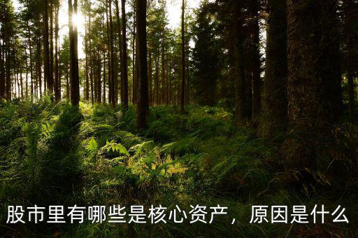 股市里有哪些是核心資產(chǎn)，原因是什么