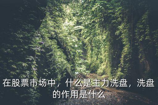 在股票市場中，什么是主力洗盤，洗盤的作用是什么