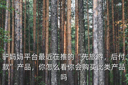 驢媽媽平臺(tái)最近在推的“先旅游，后付款”產(chǎn)品，你怎么看你會(huì)購(gòu)買此類產(chǎn)品嗎