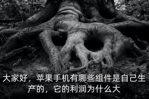 大家好，蘋果手機有哪些組件是自己生產(chǎn)的，它的利潤為什么大