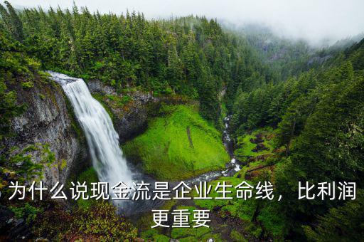 為什么說(shuō)現(xiàn)金流是企業(yè)生命線(xiàn)，比利潤(rùn)更重要