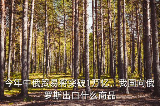 今年中俄貿(mào)易將突破1萬億，我國向俄羅斯出口什么商品