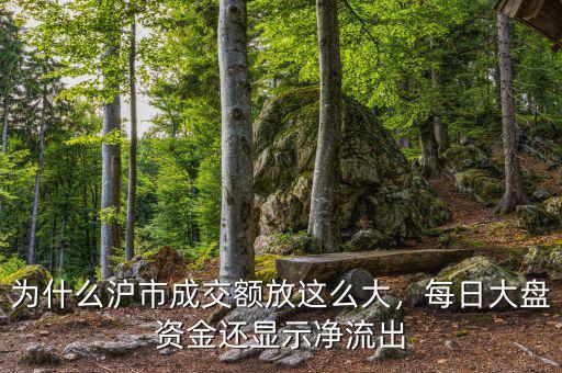 為什么滬市成交額放這么大，每日大盤資金還顯示凈流出