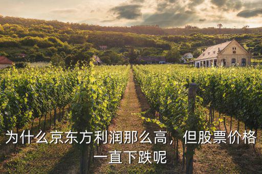 為什么京東方利潤那么高，但股票價格一直下跌呢