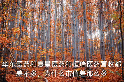 華東醫(yī)藥和復(fù)星醫(yī)藥和恒瑞醫(yī)藥營(yíng)收都差不多，為什么市值差那么多
