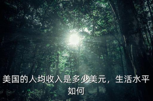 美國的人均收入是多少美元，生活水平如何