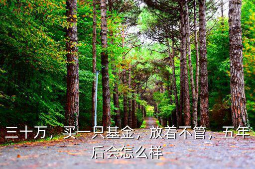 三十萬(wàn)，買一只基金，放著不管，五年后會(huì)怎么樣