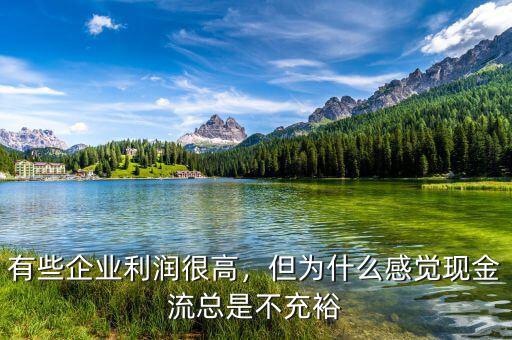 有些企業(yè)利潤(rùn)很高，但為什么感覺(jué)現(xiàn)金流總是不充裕