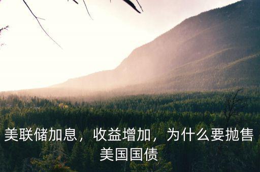 美聯(lián)儲(chǔ)加息，收益增加，為什么要拋售美國(guó)國(guó)債