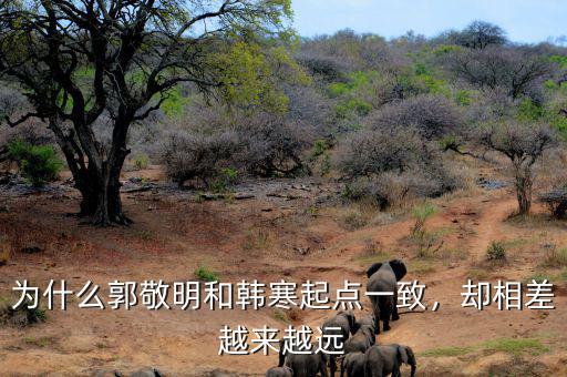 為什么郭敬明和韓寒起點(diǎn)一致，卻相差越來越遠(yuǎn)