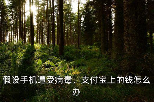 假設(shè)手機遭受病毒，支付寶上的錢怎么辦