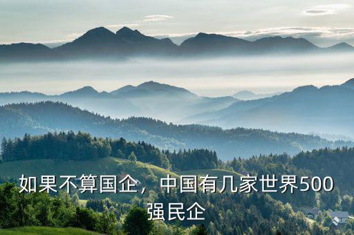 如果不算國企，中國有幾家世界500強民企