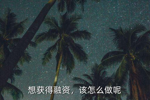 想獲得融資，該怎么做呢