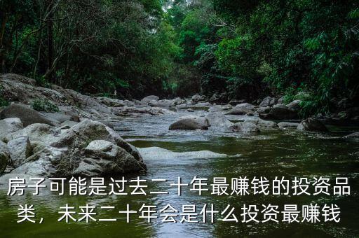 房子可能是過去二十年最賺錢的投資品類，未來二十年會是什么投資最賺錢