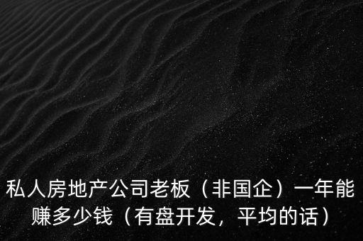 私人房地產(chǎn)公司老板（非國(guó)企）一年能賺多少錢（有盤開發(fā)，平均的話）