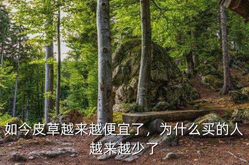 如今皮草越來越便宜了，為什么買的人越來越少了