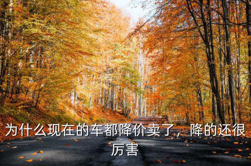 為什么現(xiàn)在的車(chē)都降價(jià)賣(mài)了，降的還很厲害
