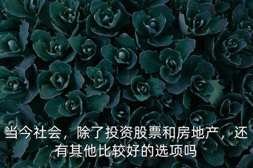 當(dāng)今社會(huì)，除了投資股票和房地產(chǎn)，還有其他比較好的選項(xiàng)嗎
