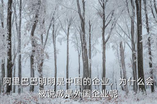 阿里巴巴明明是中國的企業(yè)，為什么會被說成是外國企業(yè)呢
