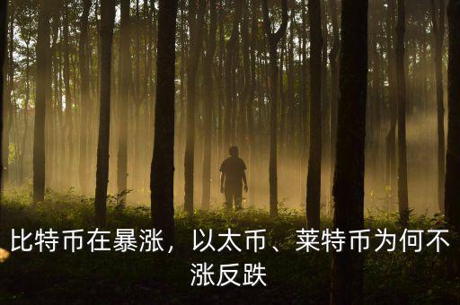 比特幣在暴漲，以太幣、萊特幣為何不漲反跌