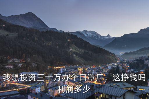 我想投資三十萬辦個口罩廠，這掙錢嗎利潤多少