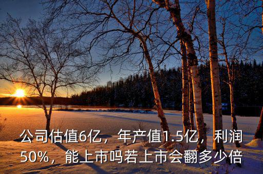 公司估值6億，年產(chǎn)值1.5億，利潤50%，能上市嗎若上市會翻多少倍