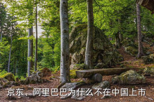 京東、阿里巴巴為什么不在中國(guó)上市