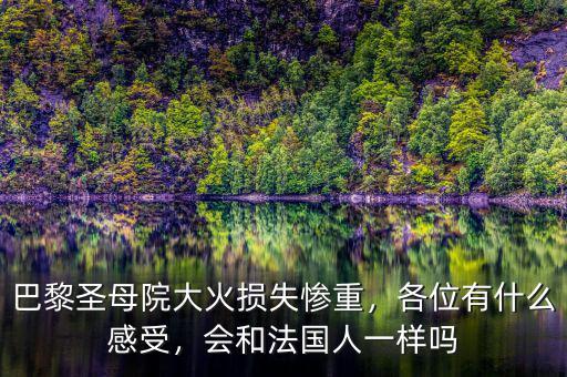 巴黎圣母院大火損失慘重，各位有什么感受，會和法國人一樣嗎