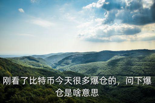 剛看了比特幣今天很多爆倉的，問下爆倉是啥意思